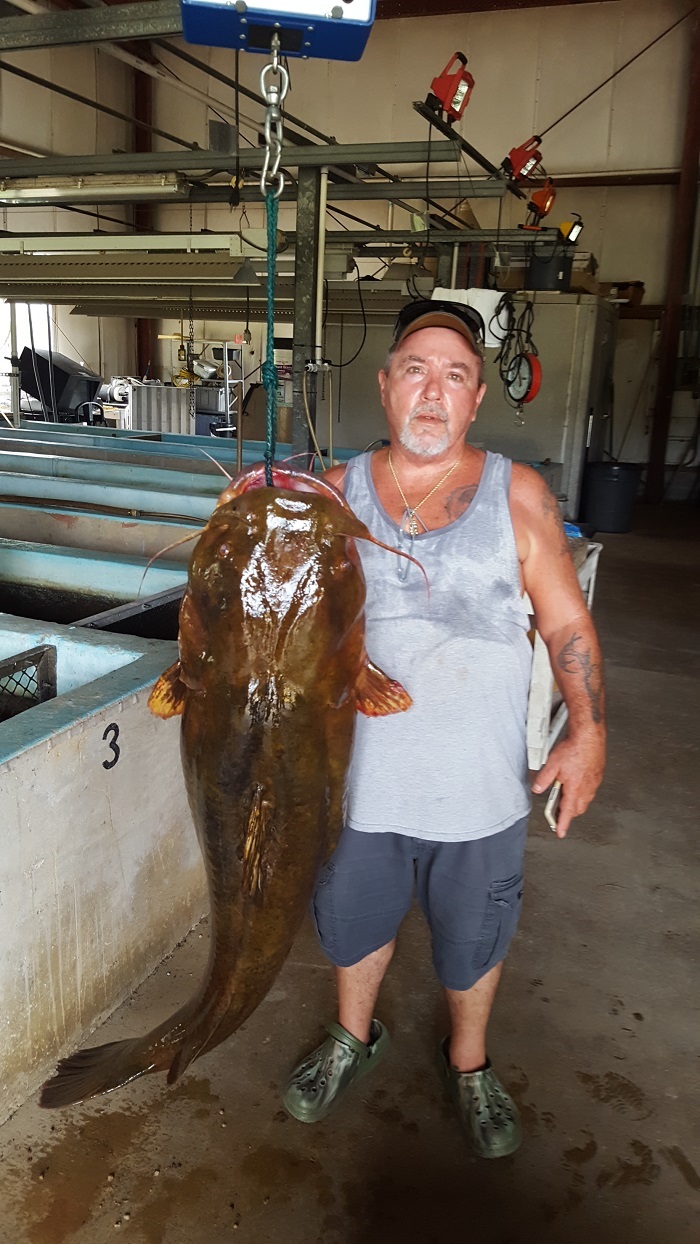 Lavon-Nowling-Flathead-Catfish.jpg